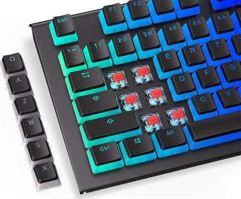 Keycaps ENDORFY PBT Pudding Keycaps ENDORFY PBT Pudding