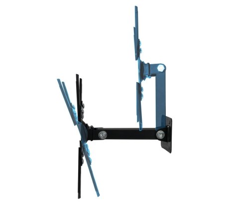 ESPERANZA UCHWYT DO TV 12''-50'' HORUS ERW011 ESPERANZA UCHWYT DO TV 12''-50'' HORUS ERW011