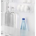 Chłodziarka ELECTROLUX LRB3DE18S