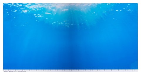 JUWEL Fototapeta/Poster 2 XL - fototapeta do akwarium - 1 szt. JUWEL Fototapeta/Poster 2 XL - fototapeta do akwarium - 1 szt.
