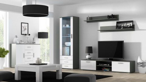 Witryna SOHO S1 szary/ biały połysk Witryna SOHO S1 szary/ biały połysk