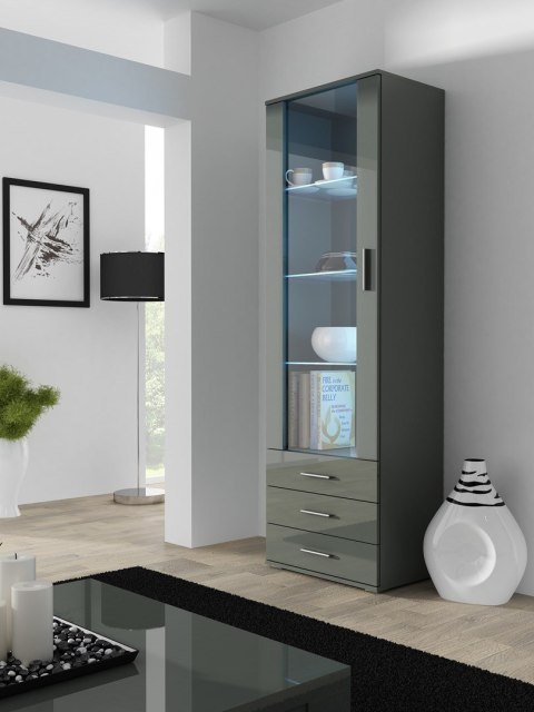 Witryna SOHO S1 szary/ szary połysk Witryna SOHO S1 szary/ szary połysk