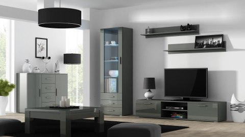 Witryna SOHO S1 szary/ szary połysk Witryna SOHO S1 szary/ szary połysk