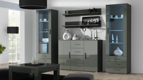 Witryna SOHO S1 szary/ szary połysk Witryna SOHO S1 szary/ szary połysk