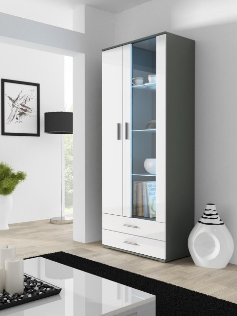 Witryna SOHO S6 2D2S szary/ biały połysk Witryna SOHO S6 2D2S szary/ biały połysk