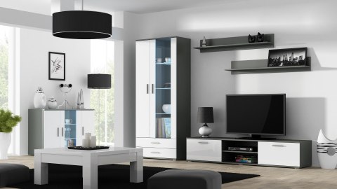 Witryna SOHO S6 2D2S szary/ biały połysk Witryna SOHO S6 2D2S szary/ biały połysk