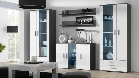 Witryna SOHO S6 2D2S szary/ biały połysk Witryna SOHO S6 2D2S szary/ biały połysk