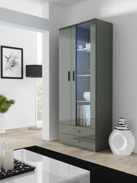 Witryna SOHO S6 2D2S szary/ szary połysk Witryna SOHO S6 2D2S szary/ szary połysk