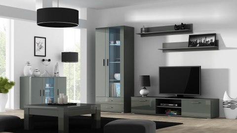 Witryna SOHO S6 2D2S szary/ szary połysk Witryna SOHO S6 2D2S szary/ szary połysk