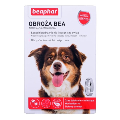 Beaphar obroża ochronna na Kleszcze Pchły dla psa rozm. M/L Beaphar obroża ochronna na Kleszcze Pchły dla psa rozm. M/L