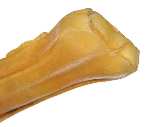 MACED Kość wędzona prasowana 16 cm - 1 szt. MACED Kość wędzona prasowana 16 cm - 1 szt.
