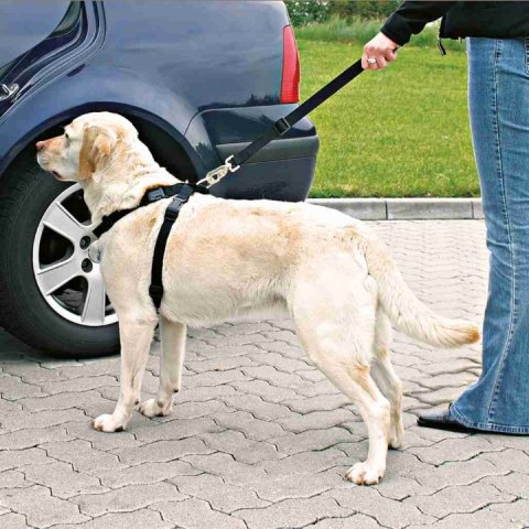 TRIXIE Szelki samochodowe dla psa 50-70 cm - rozmiar M TRIXIE Szelki samochodowe dla psa 50-70 cm - rozmiar M