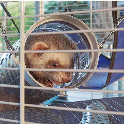 FERPLAST Furet Tower - klatka dla fretek FERPLAST Furet Tower - klatka dla fretek