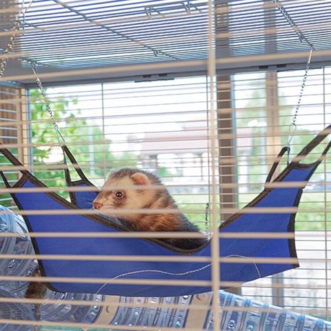 FERPLAST Furet Tower - klatka dla fretek FERPLAST Furet Tower - klatka dla fretek