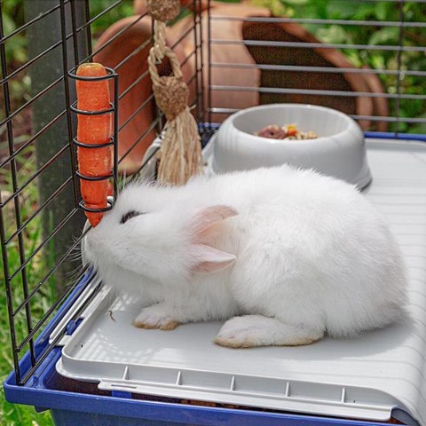 FERPLAST Rabbit 120 - klatka dla królika FERPLAST Rabbit 120 - klatka dla królika