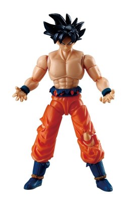 DRAGON BALL SUPER EVOLVE SON GOKU ULTRA INSTINCT