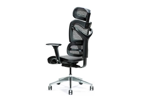 Ergonomiczny fotel biurowy ERGO 600 szary Ergonomiczny fotel biurowy ERGO 600 szary
