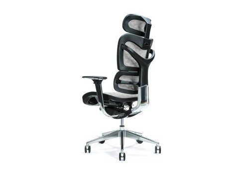 Ergonomiczny fotel biurowy ERGO 700 szary Ergonomiczny fotel biurowy ERGO 700 szary