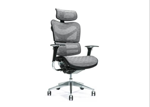 Ergonomiczny fotel biurowy ERGO 700 szary Ergonomiczny fotel biurowy ERGO 700 szary
