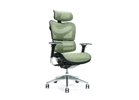 Ergonomiczny fotel biurowy ERGO 700 zielony Ergonomiczny fotel biurowy ERGO 700 zielony