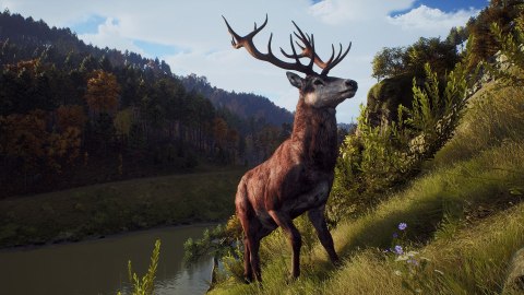 Way of the Hunter Elite Edition Way of the Hunter Elite Edition