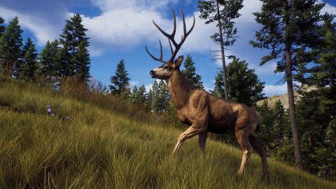 Way of the Hunter Elite Edition Way of the Hunter Elite Edition