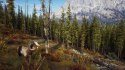 Way of the Hunter Elite Edition