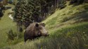 Way of the Hunter Elite Edition