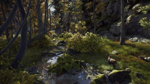 Way of the Hunter Elite Edition Way of the Hunter Elite Edition