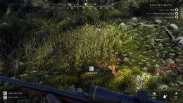 Way of the Hunter