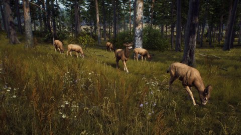 Way of the Hunter Way of the Hunter