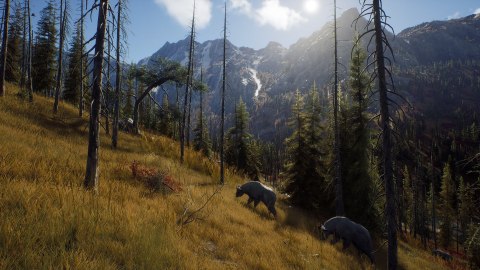 Way of the Hunter Way of the Hunter