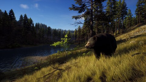 Way of the Hunter Way of the Hunter