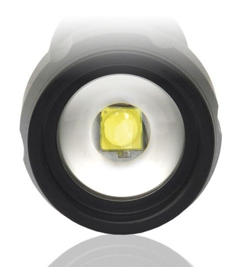 EVERACTIVE LATARKA RĘCZNA DIODOWA LED 350 LUMENÓW FL300+ EVERACTIVE LATARKA RĘCZNA DIODOWA LED 350 LUMENÓW FL300+