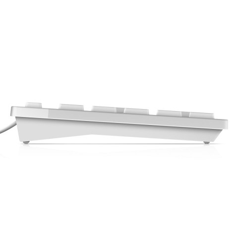 DELL Keyboard : US-Euro (Qwerty) Dell KB216 Quietkey USB, White DELL Keyboard : US-Euro (Qwerty) Dell KB216 Quietkey USB, White