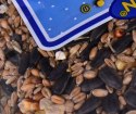MEGAN Megi Karma zimowa w worku - mieszanka pełnoporcjowa dla ptaków - 1 kg