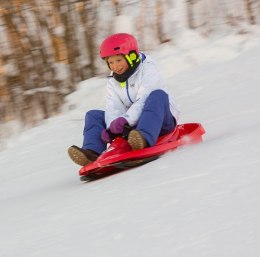 Nartosanki Hamax Sno Formel czerwony
