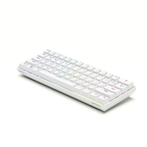 SAVIO KLAWIATURA MECHANICZNA BROWN OUTEMU WHITEOUT SAVIO KLAWIATURA MECHANICZNA BROWN OUTEMU WHITEOUT