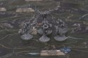 The Witcher Old World Deluxe Edition Wiedźmin wersja angielska