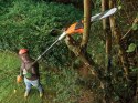 Pilarka łańcuchowa do cięcia gałęzi Black&Decker PS7525-QS (WYPRZEDAŻ)