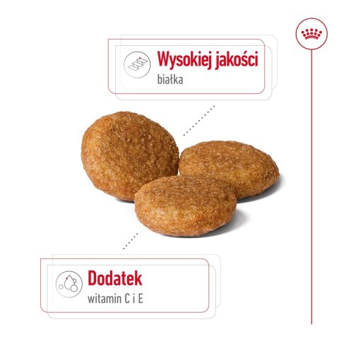 ROYAL CANIN SHN Medium Adult - sucha karma dla psa dorosłego - 15 kg ROYAL CANIN SHN Medium Adult - sucha karma dla psa dorosłego - 15 kg