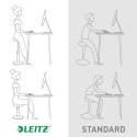 LEITZ Ergonomiczny stołek ERGO COSY, szary