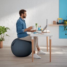 LEITZ Piłka do siedzenia Ergo Cosy, szara