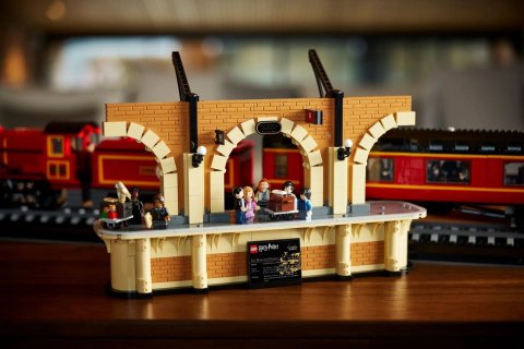 LEGO Harry Potter 76405 Ekspres do Hogwartu-edycja kolekcjonerska LEGO Harry Potter 76405 Ekspres do Hogwartu-edycja kolekcjonerska
