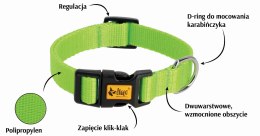 DINGO Obroża 1,0 x 30cm(20-28) zielona
