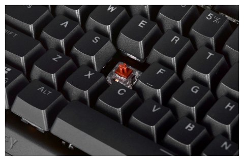 Klawiatura gamingowa ENDORFY Thock TKL Kailh Brown RGB Klawiatura gamingowa ENDORFY Thock TKL Kailh Brown RGB
