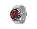 Samsung Galaxy Watch 6 R950 Classic Silver  43mm