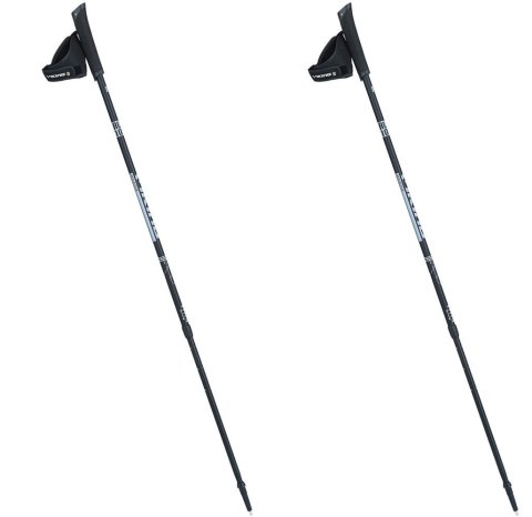 Kije Viking Valo Pro Nordic Walking czarno/srebrne