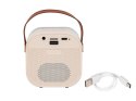 BLOW GŁOŚNIK BLUETOOTH KARAOKE RGB 10W