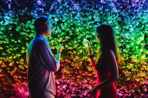 Inteligentne lampki choinkowe Twinkly 100 RGB 8m Inteligentne lampki choinkowe Twinkly 100 RGB 8m